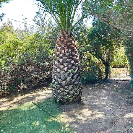 Villa Claudia Torre delle Stelle