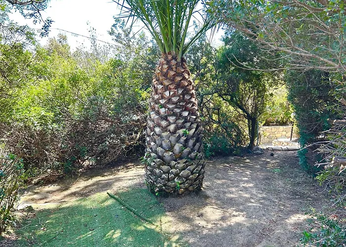 Villa Claudia Torre delle Stelle