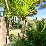 Villa Claudia Verandagiardino A Torre D Stelle