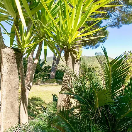 Claudia Relax Garden -