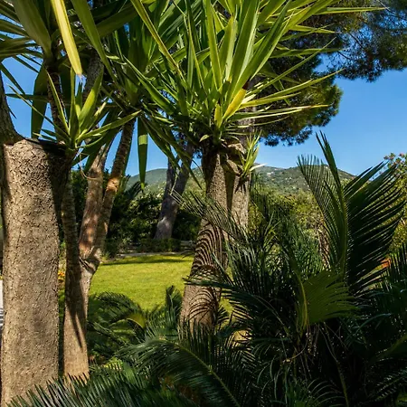 Claudia Relax Garden - *